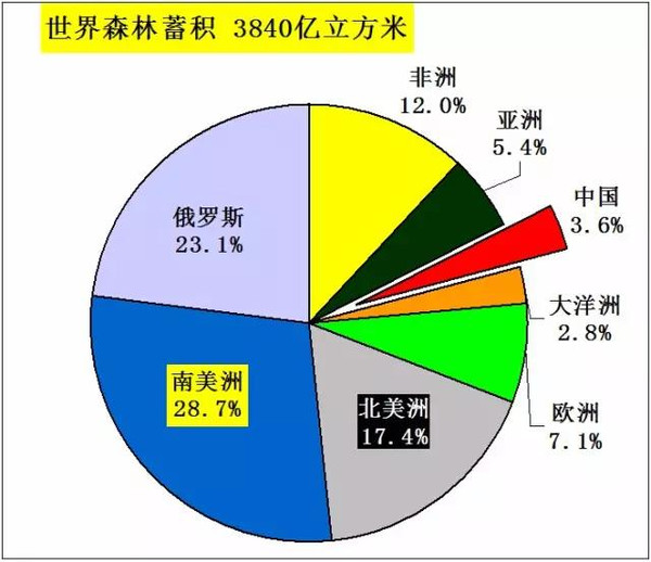 木材人必看：中国木材多米体育市场发展与战略(图10)