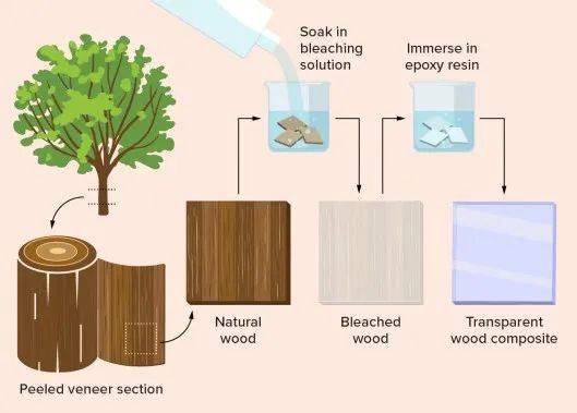 透明多米体育木材的前世今生(图3)