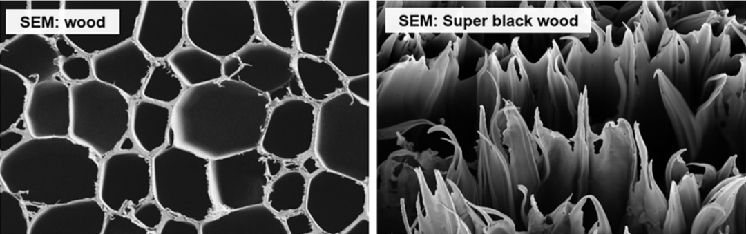 多米体育科学家造出超级黑木材将木材细胞壁尺寸从微米级变为纳米级(图2)