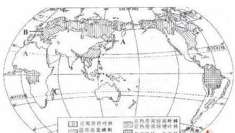 多米体育【木材最前沿】未来我国木材资源获取的途径或将以国内渠道为主(图2)