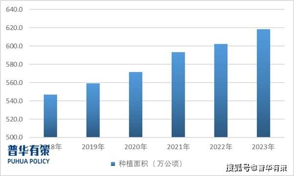 桉树产业进一步面向科学化、规范化方向快速发展多米体育(图1)