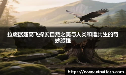 拉鹰展翅高飞探索自然之美与人类和谐共生的奇妙旅程